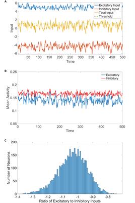 Functional Implications of Dale's Law in Balanced Neuronal Network Dynamics and Decision Making